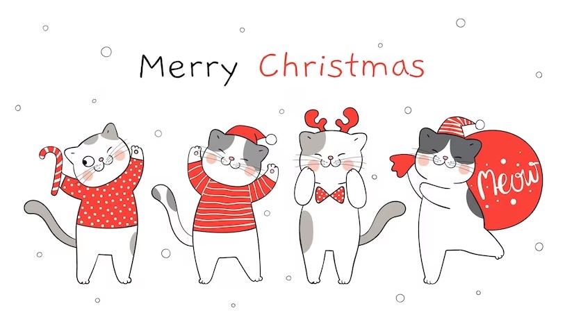 Merry Christmas Cat