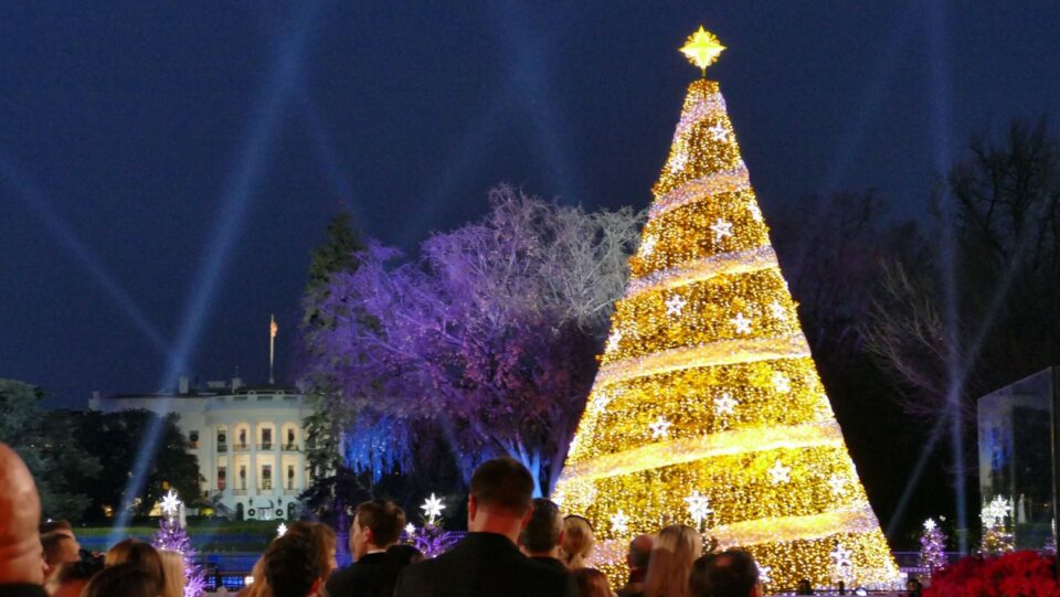 Christmas tree lighting ceremony