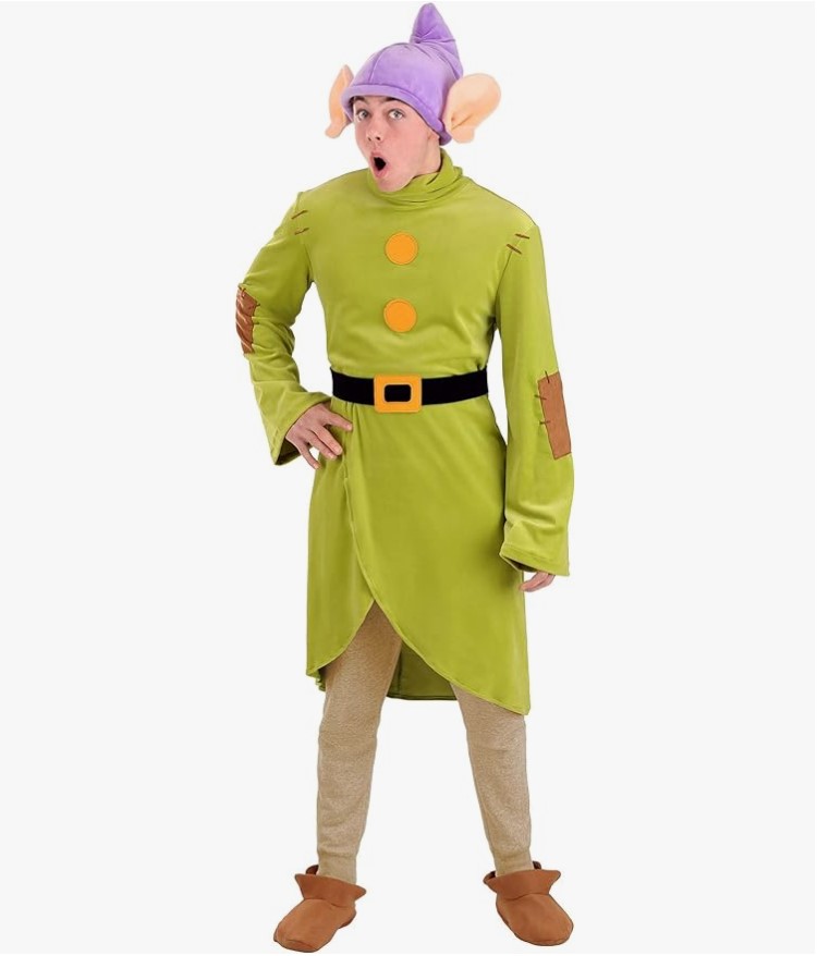 Disney elf costume
