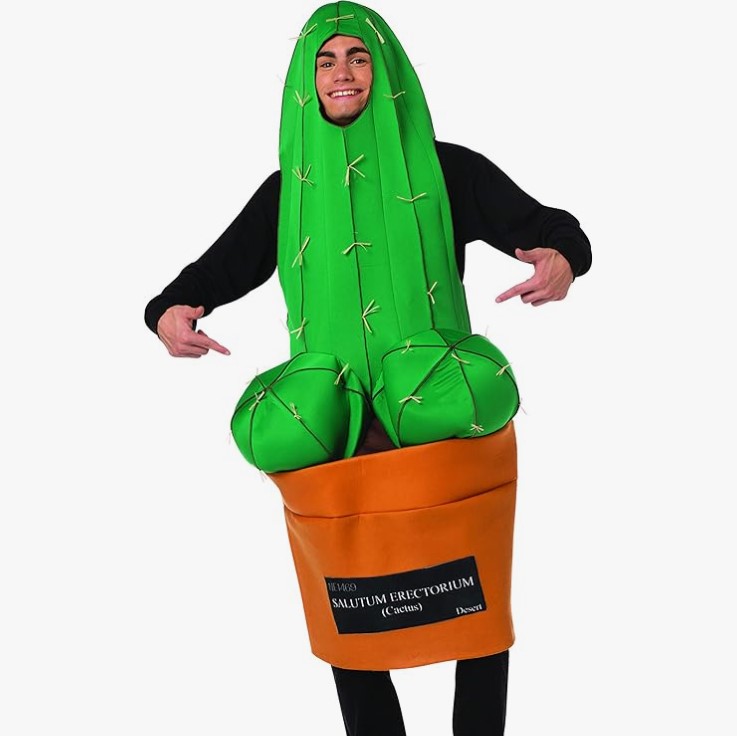 Adult happy cactus costume
