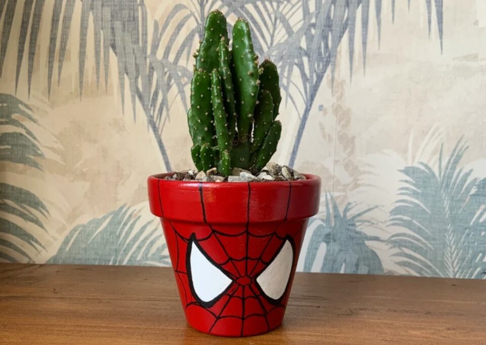 Spiderman plant holder