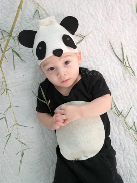 Panda Bear Baby Costume