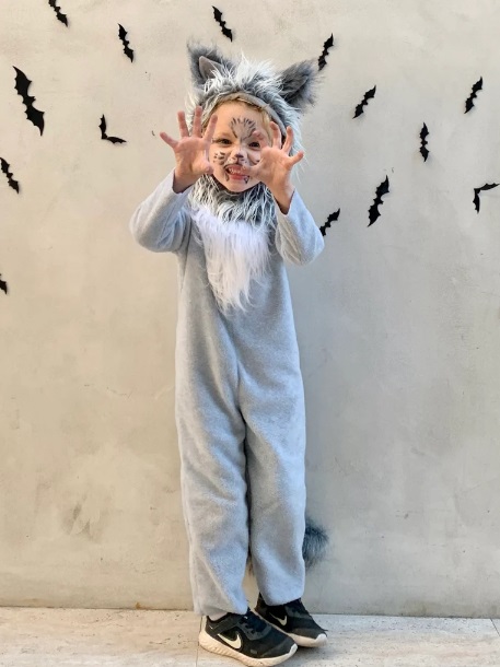 Grey Wolf Costume