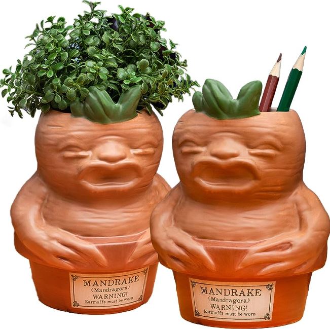 Mandrake Root Pencil Holder