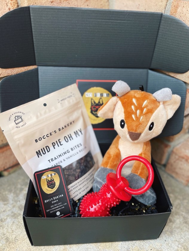 So Fetch Mini Happy Birthday Gift Box - Dog Gift Basket - Gift for Dogs »  Pampered Paw Gifts