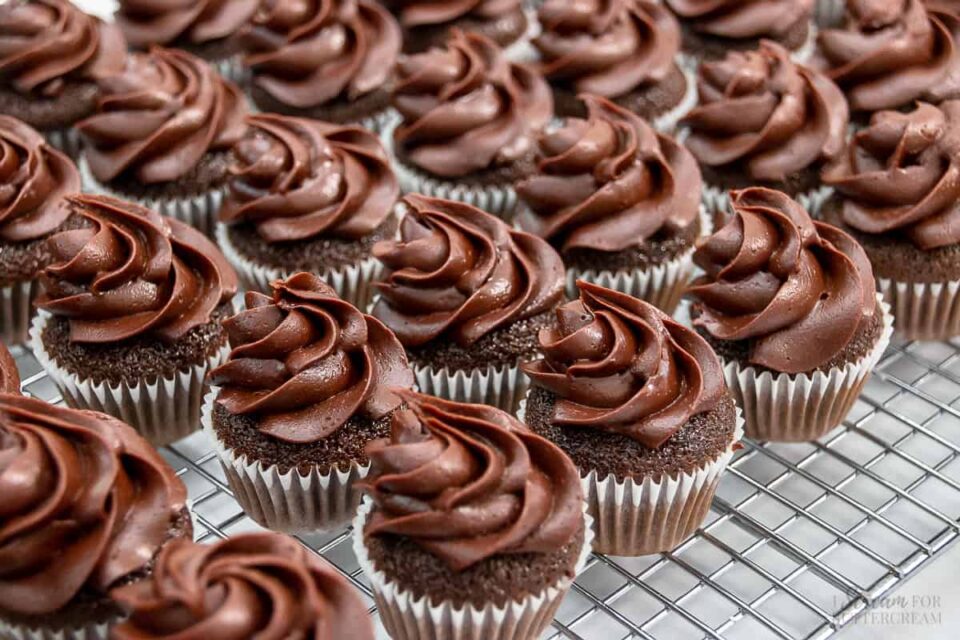 Chocolate mini cupcakes
