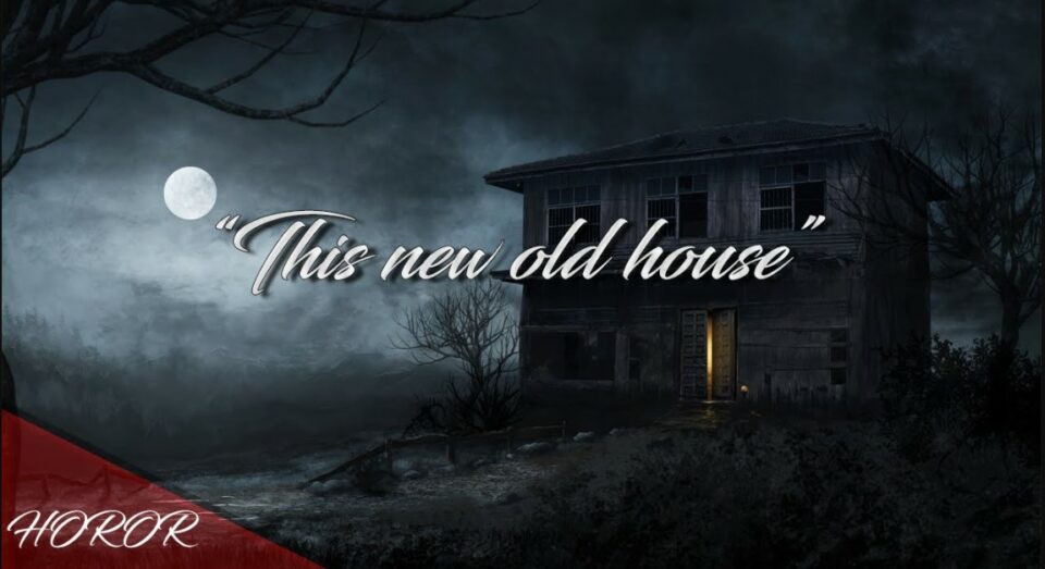 This New Old House