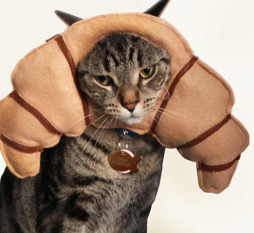 Croissant Costume