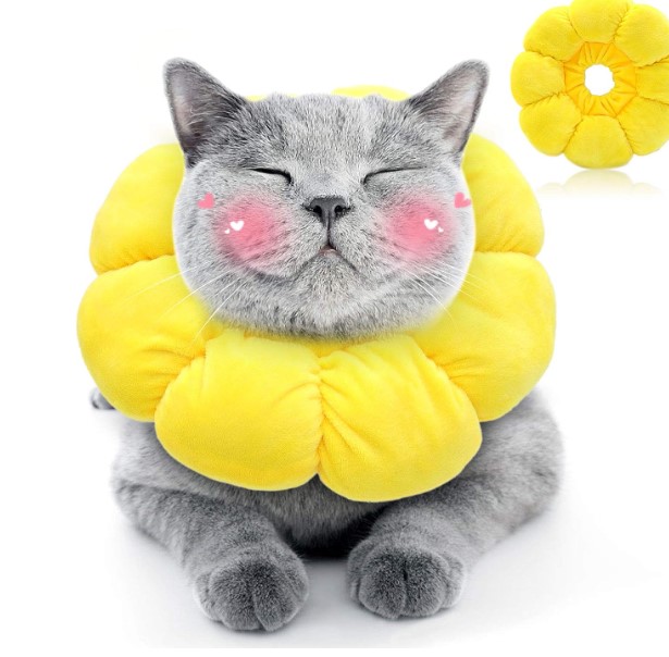 Sunflower Cat Hat