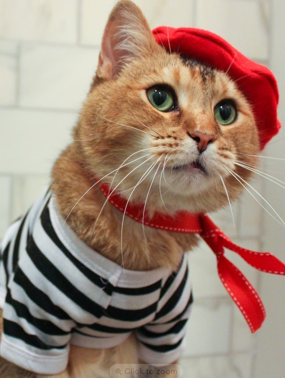 French Cat Costume