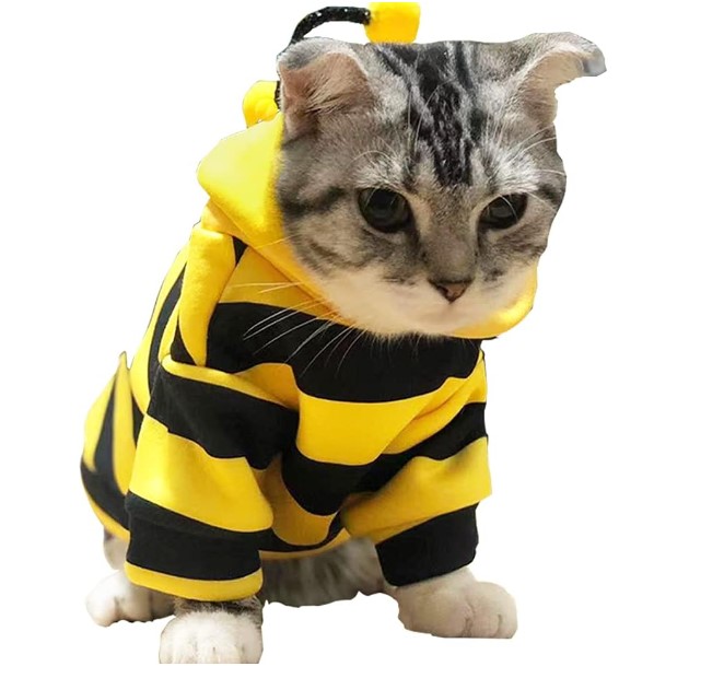 Bee Costume 