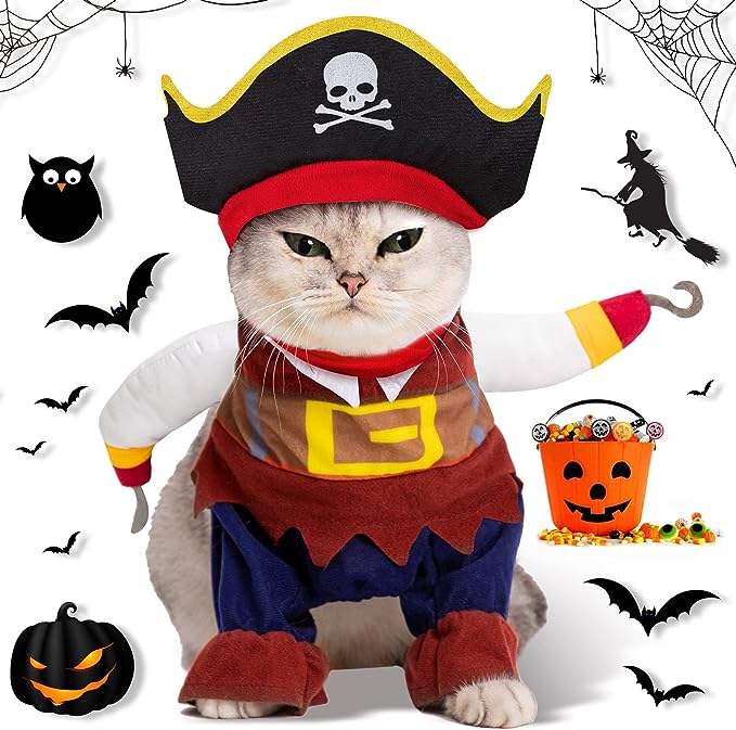 Cat in a Pirate Costume