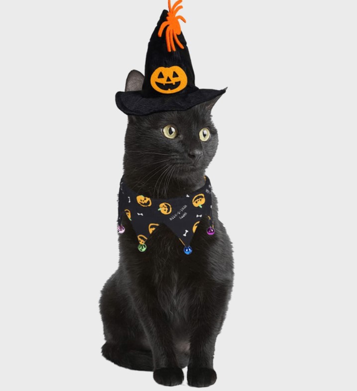 Witch Cat Costume