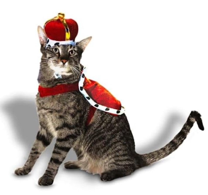 Bootique King Costume