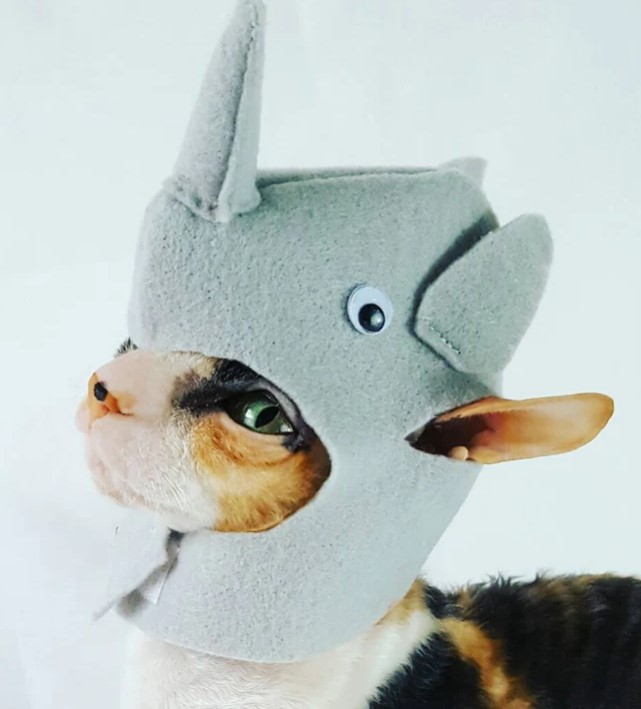 Rhino Hat 