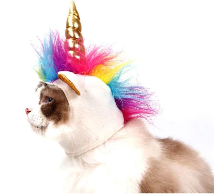 Unicorn Costume