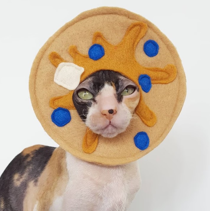 Pancake Hat 