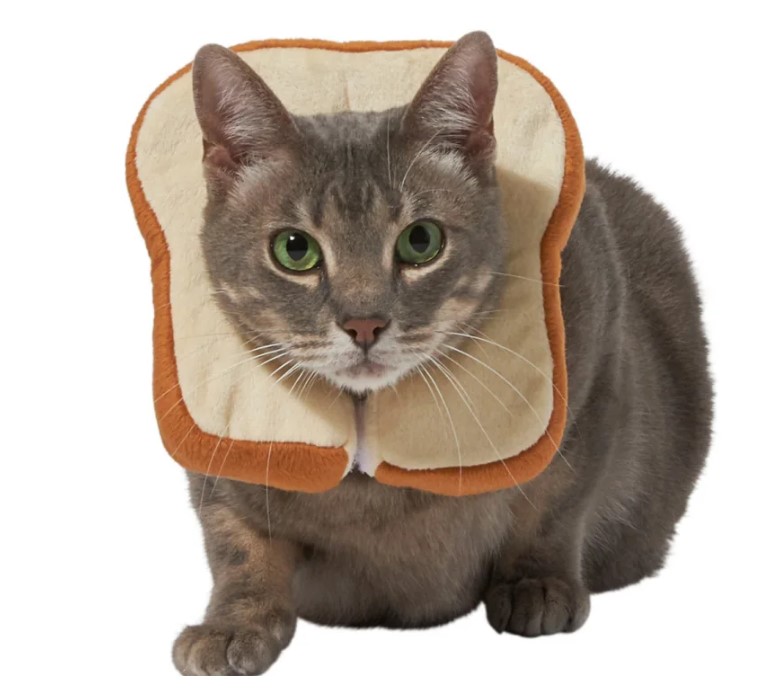 Frisco Bread Cat Costume