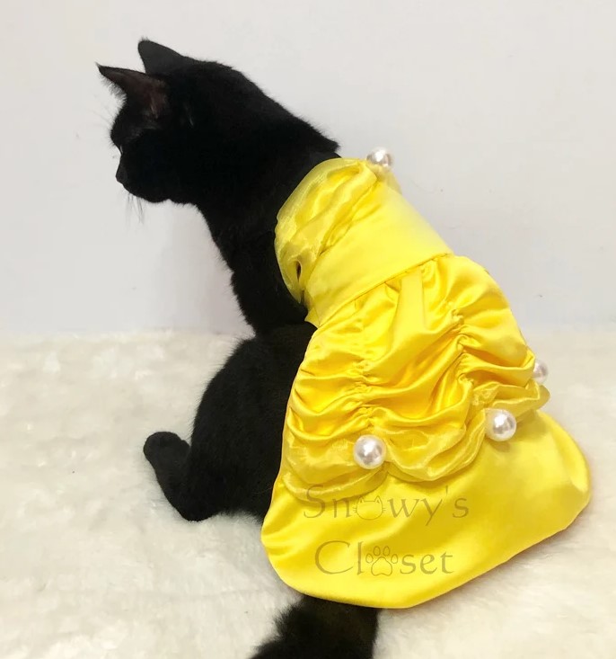 Belle Cat Costume