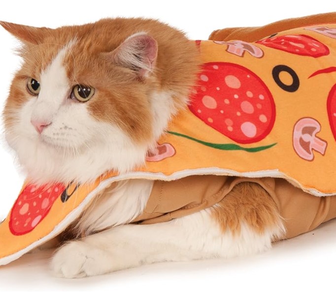 Pizza Slice Costume