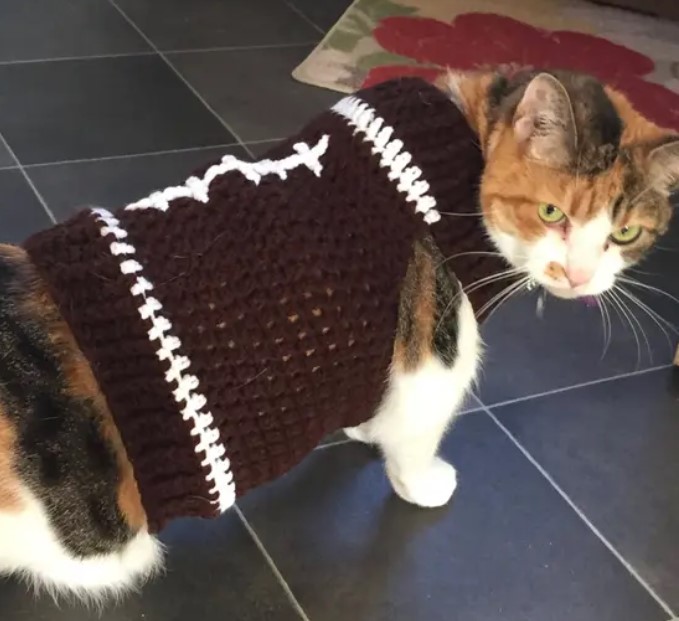 Football Cat Costume