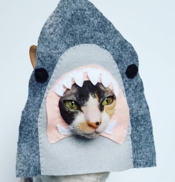 Shark Costume