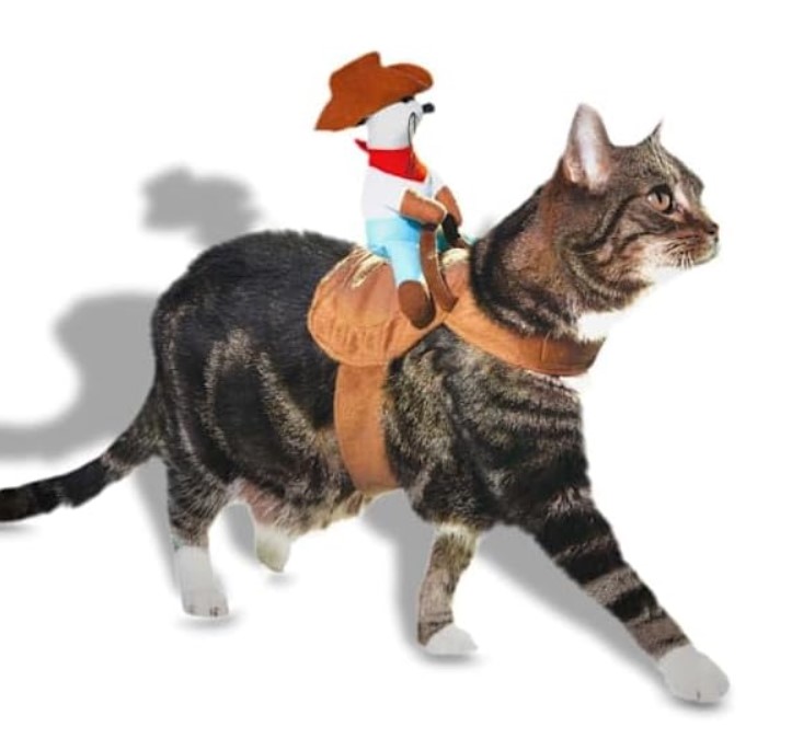 Cowboy Kitty-Up Cat Costume