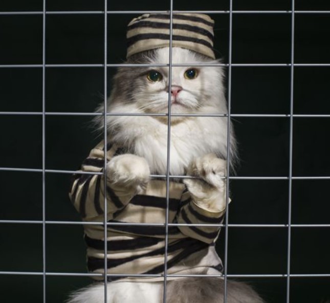 Prisoner Costume