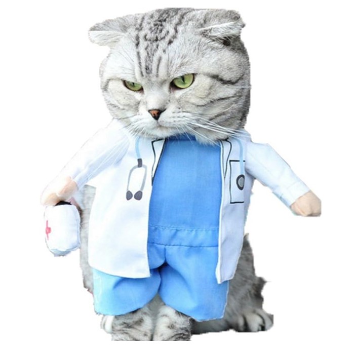 Doctor cat costume