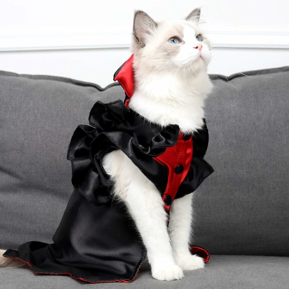 Vampire Cat Costume