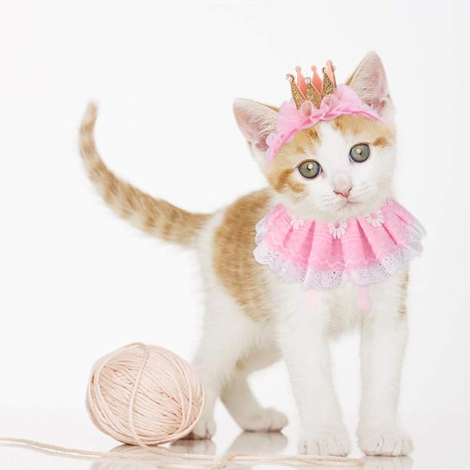 Princess Cat Costume
