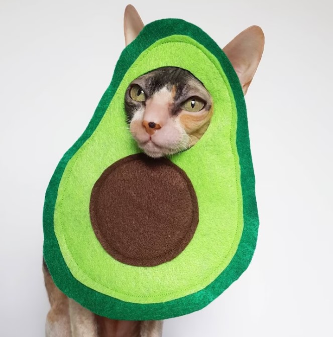 Avocato Cat Costume