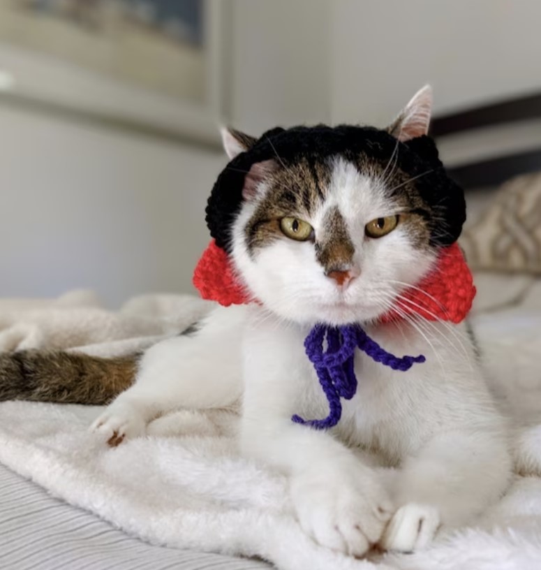 Dracula Cat Costumes