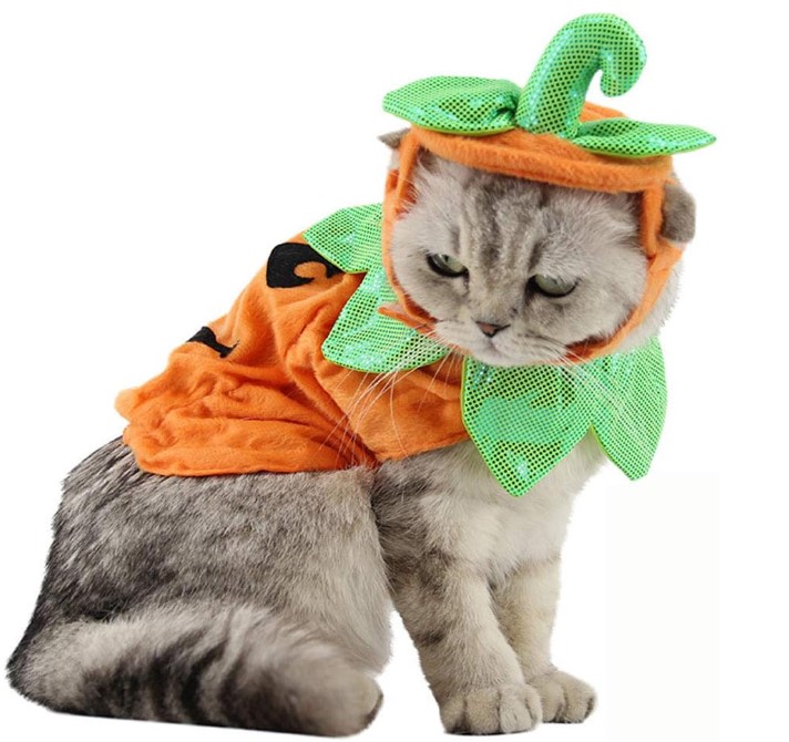 Bolbove Pumpkin Costume