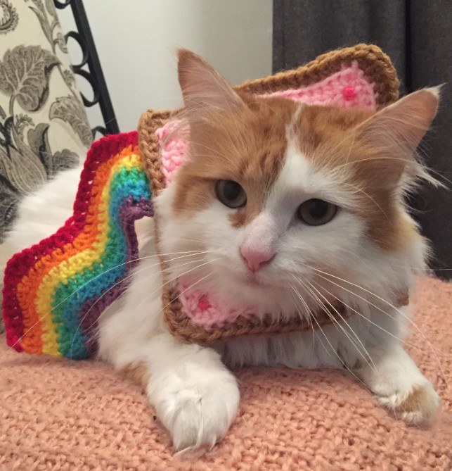 Nyan cat Costume