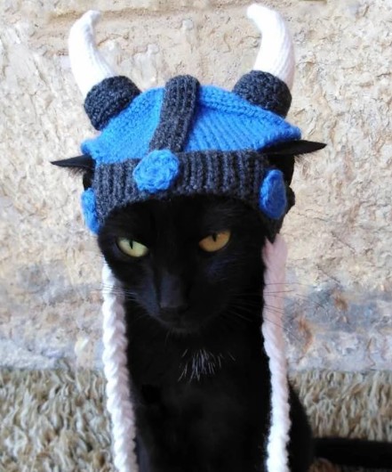 Viking Hat for Cat