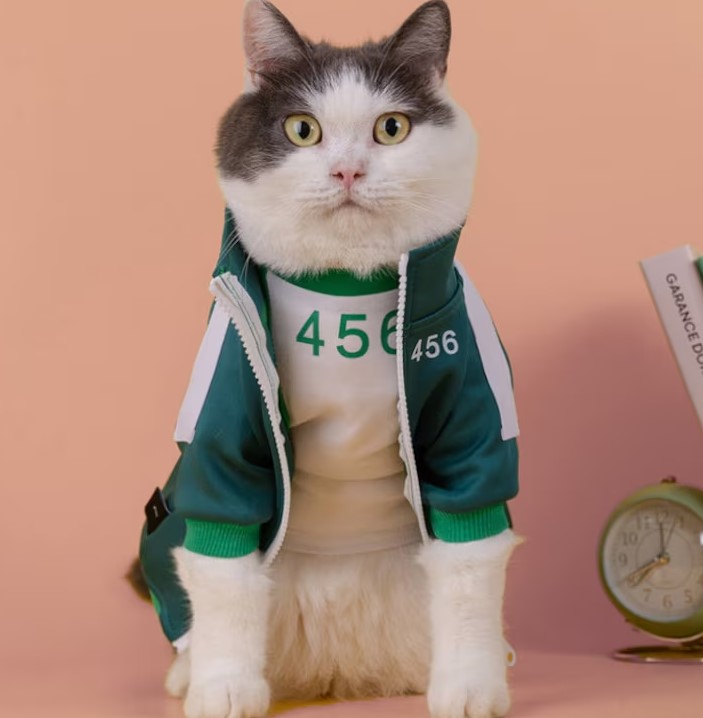 Squid Game Cat Costume