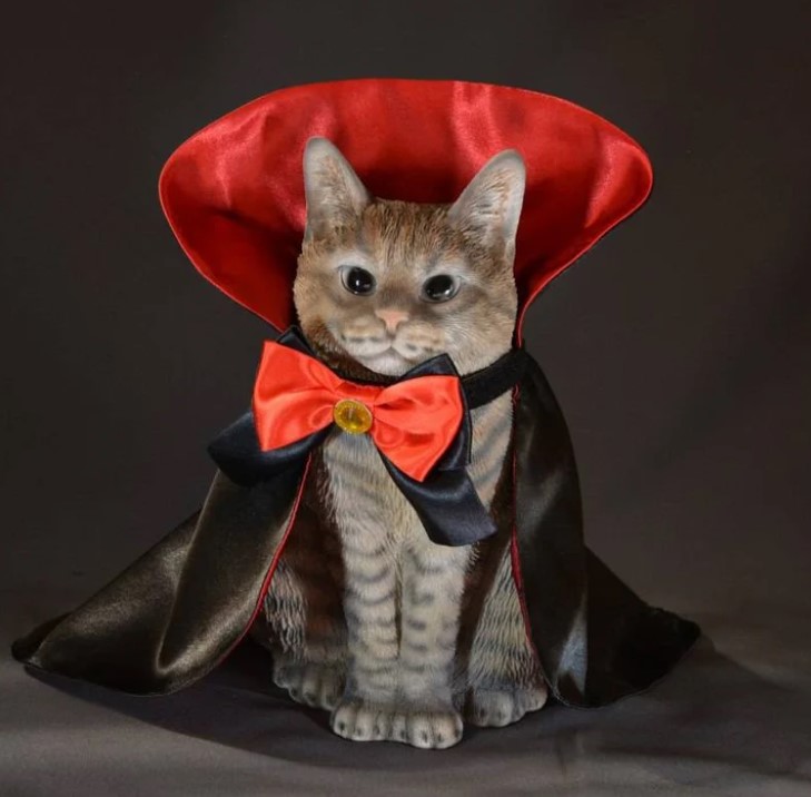 Dracula Cat Costume