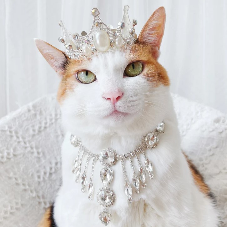 Queen Jewels