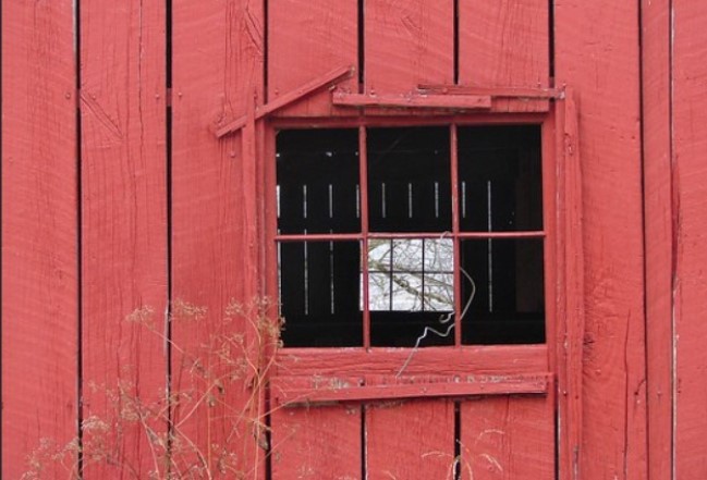 Red Barn Backdrop