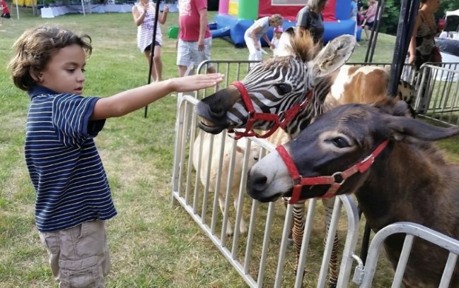 Petting Zoo Party