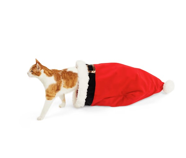 https://storage.googleapis.com/loveable.appspot.com/blog/uploads/2023/10/25142730/Cat-Santa-Hat.jpg