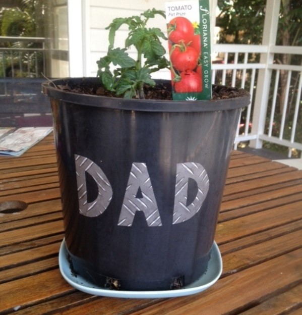 DIY Fathers Day Tomato Plant Pot