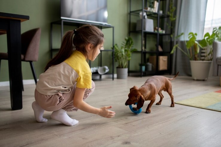 Doggy Bowling