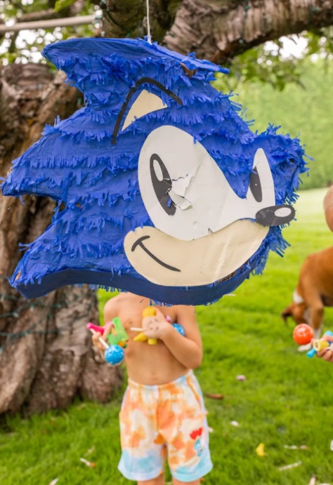 sonic the hedgehog pinata