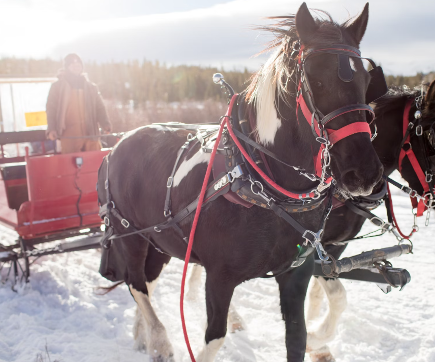 sleigh ride