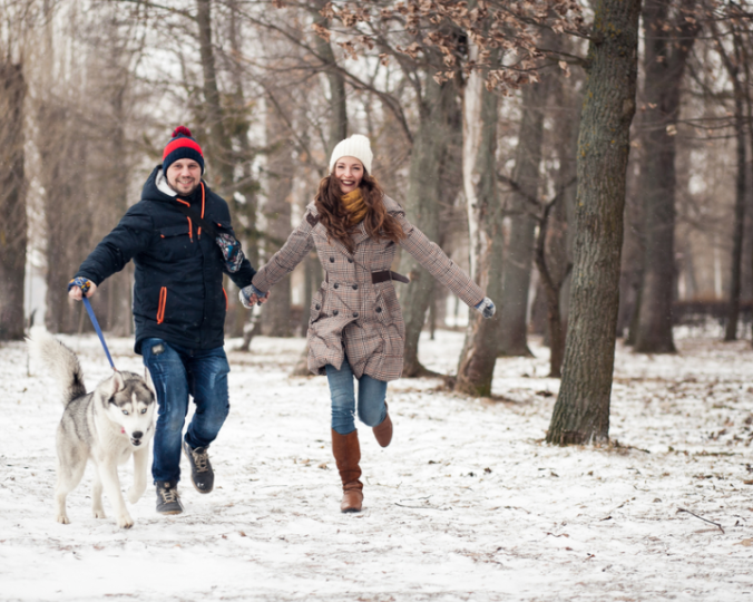 Go for a snowy walk