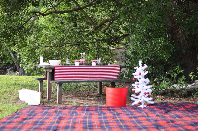 Outdoor Picnic christmas