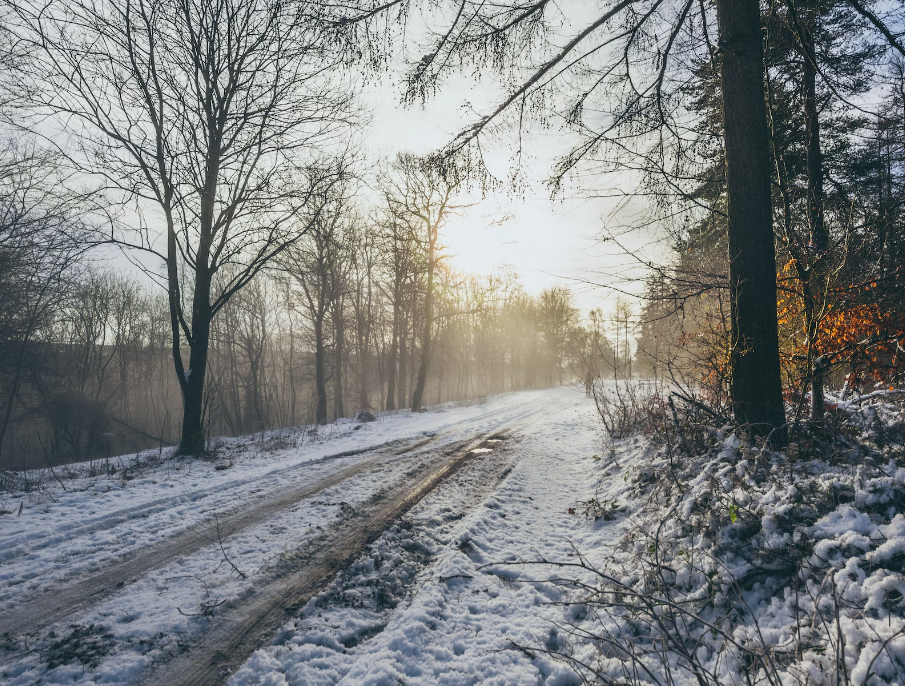 Go On A Christmas Road Trip