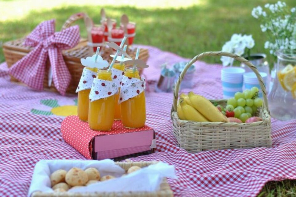 birthday party ideas for 13 year olds - picnic party
